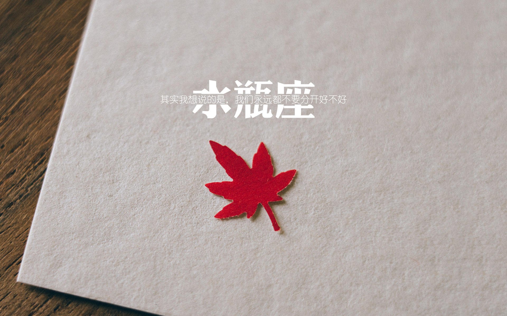 _澳大利亚公开赛观众热情高涨，比赛精彩不断_，澳大利亚公开赛是什么地名