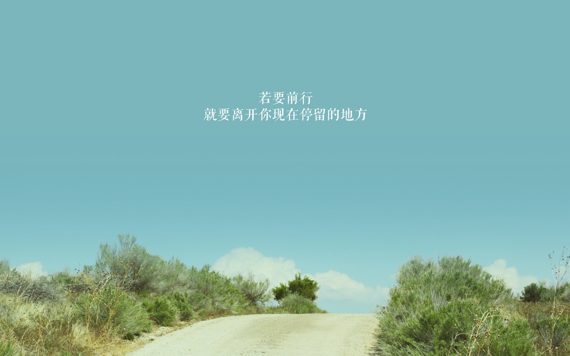 开云官网APP下载-“德甲明星连续发威：豪门战绩稳步提升”，德甲名人