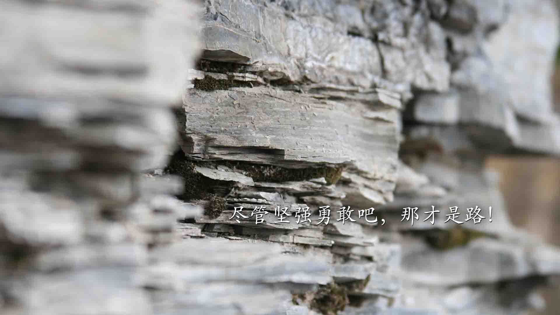 游戏直播内容监管：规范化与健康发展，游戏直播内容策划方案