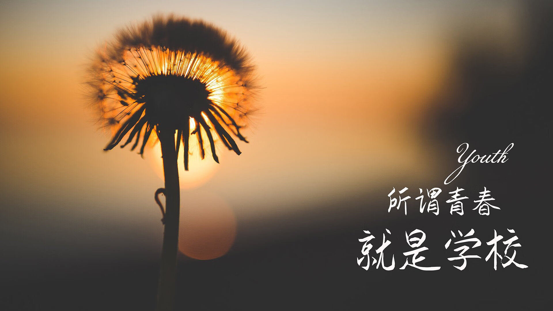 篮网客场击败灰熊，厄文发威砍下分，篮网对战灰熊