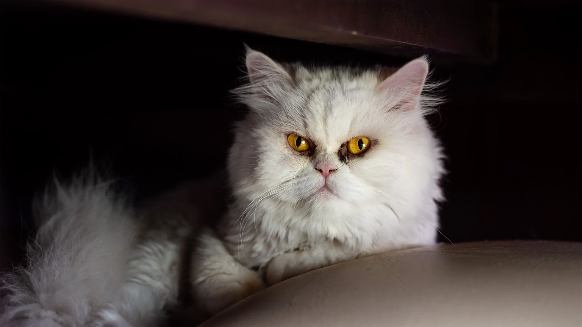 开云官方网页登录-亚洲杯中国足球惨败 球迷呼吁加强基础建设，亚洲杯足球赛中国队比赛