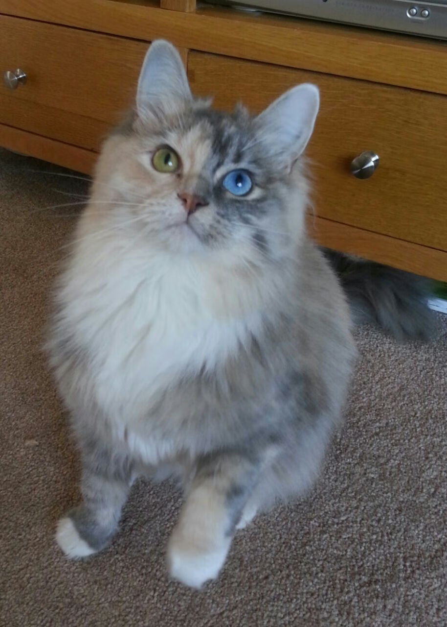 法甲炙热激战：一场场绝佳的攻防对抗