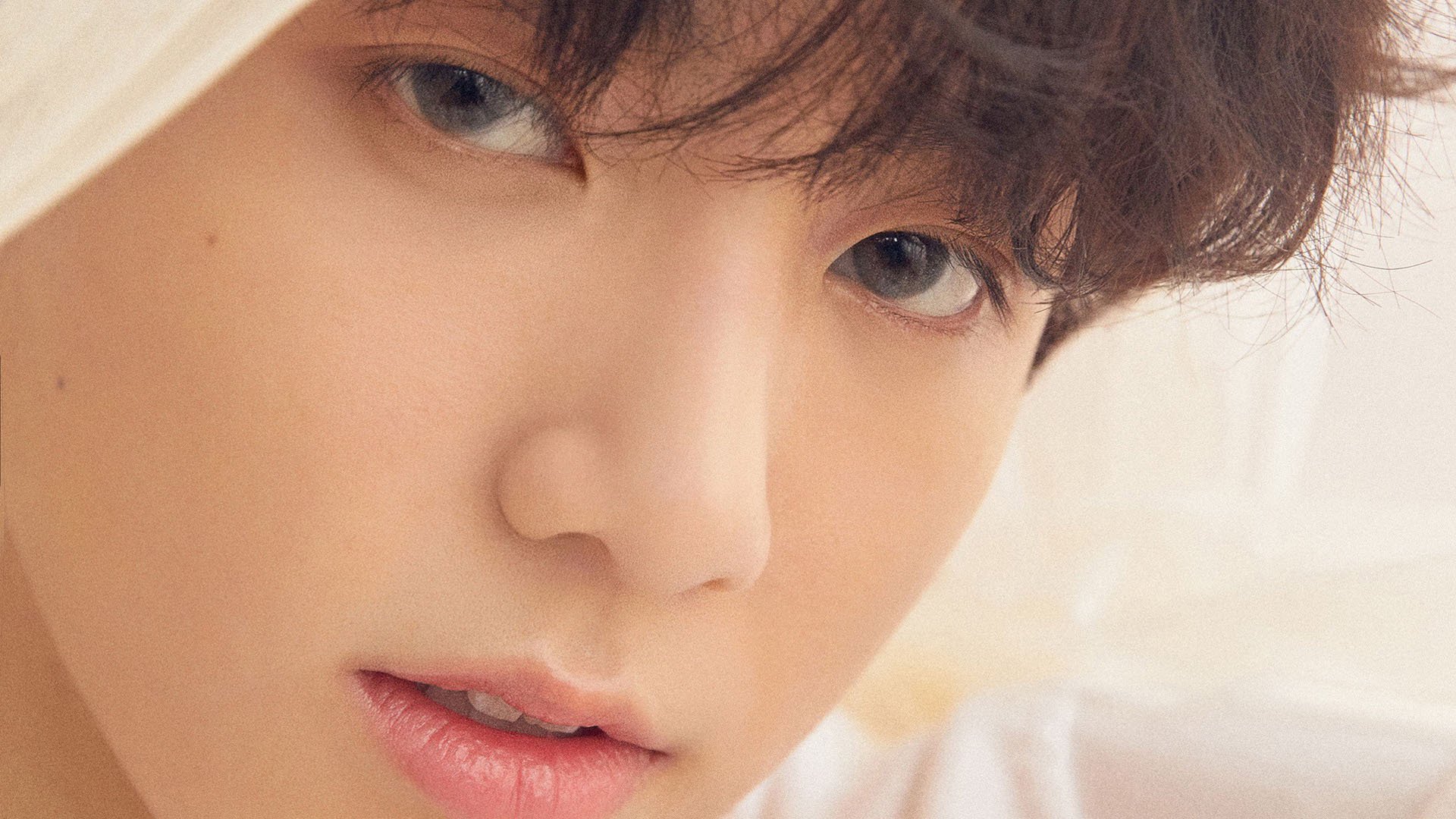 篮球专业在高校招生中热度持续上升，关于篮球的大学专业