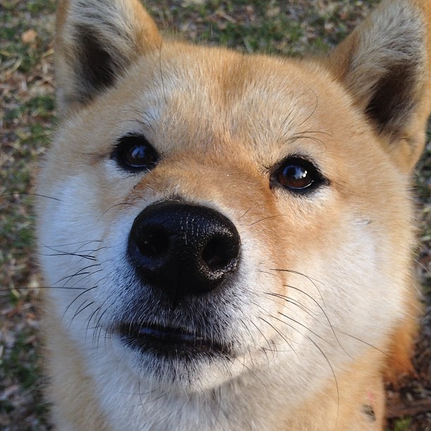 kaiyun开云·官方网站-美洲杯激情四射：明星绽放，奇迹不断！，美洲杯视频回顾