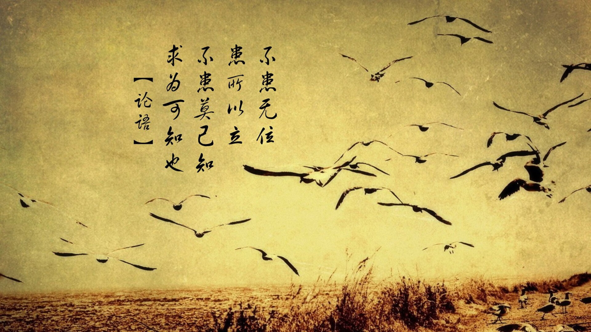 西甲秀场：技巧、配合、出现精彩连连！，西甲loading