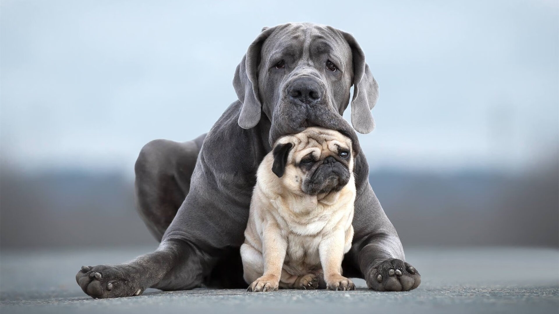 kaiyun登录入口-覃海洋蛙泳起跳堪称教科书，覃海洋游泳