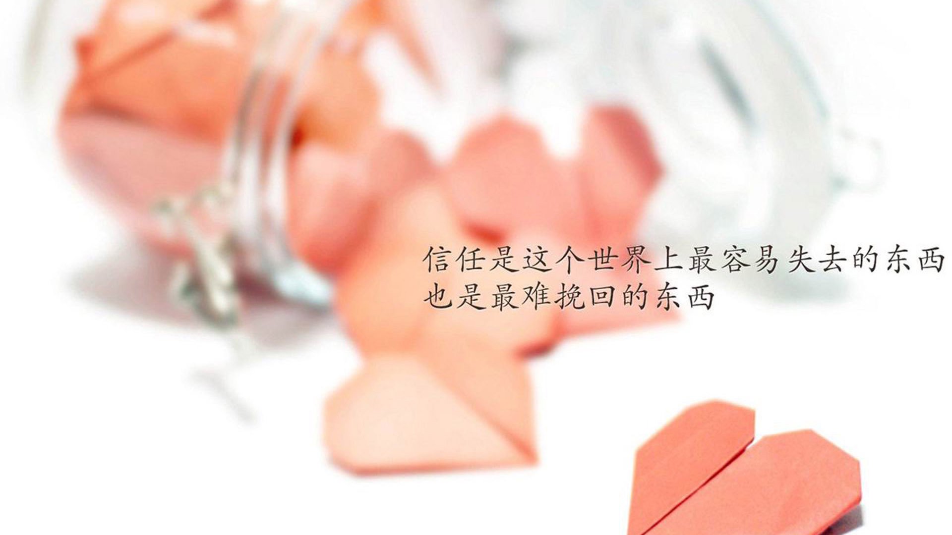 黄蜂官方微博回应球迷建议展现亲民形象，黄蜂全场回放