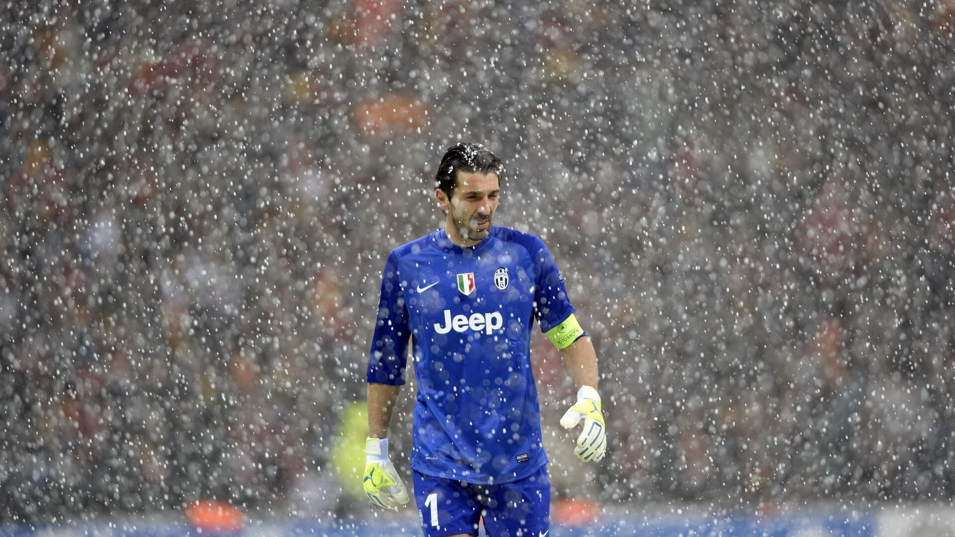 开云LOL-赛场与城市景观的完美融合,赛场与城市景观的完美融合的句子